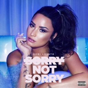 Demi Lovato sorry not sorry Stems